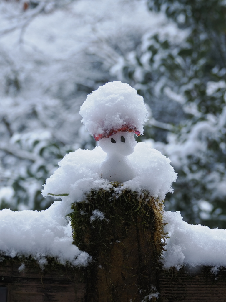 雪帽子ちゃん