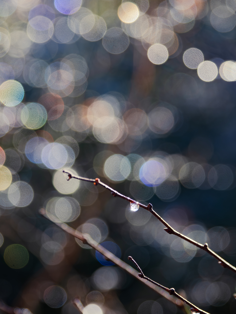 icy illumination