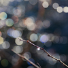 icy illumination