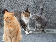 2人の世界にジェラシー
