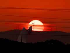 太陽礼賛