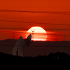 太陽礼賛