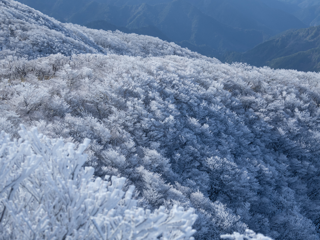 白化粧の山
