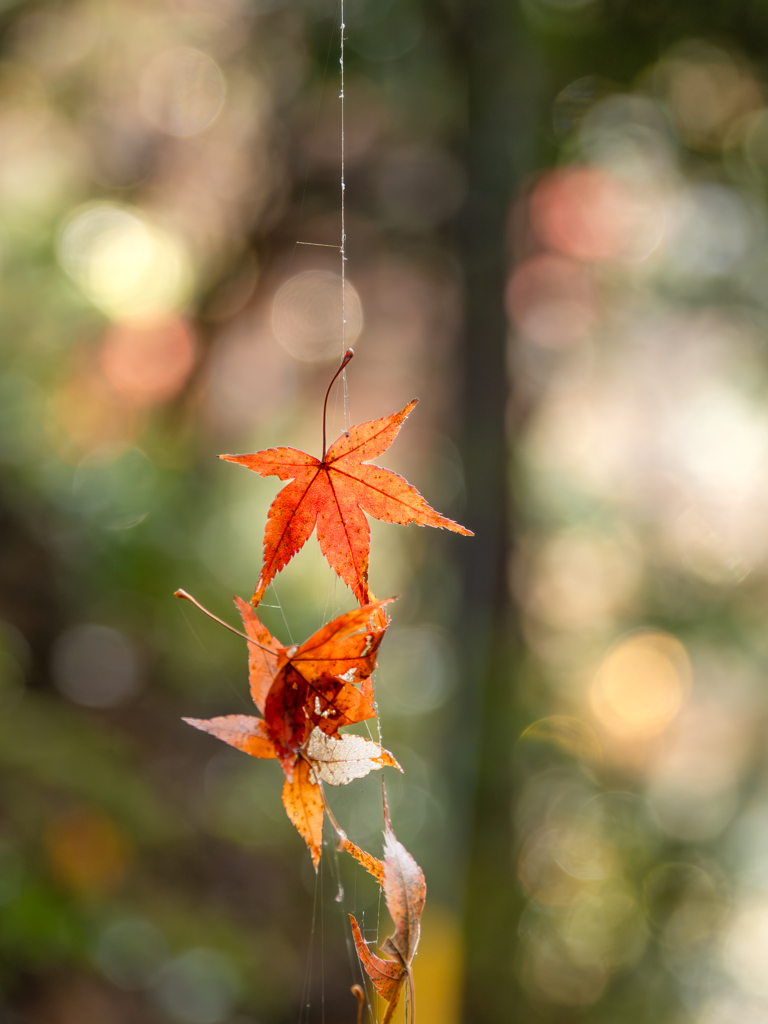 過ぎゆく季節のガーランド