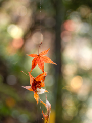 過ぎゆく季節のガーランド