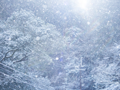 雪の日の幻想