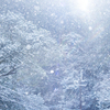 雪の日の幻想