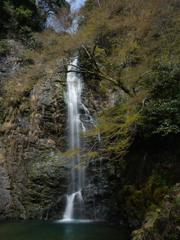 芽吹く滝