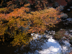 残彩　冬の青空に