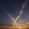 X（エックス）の朝