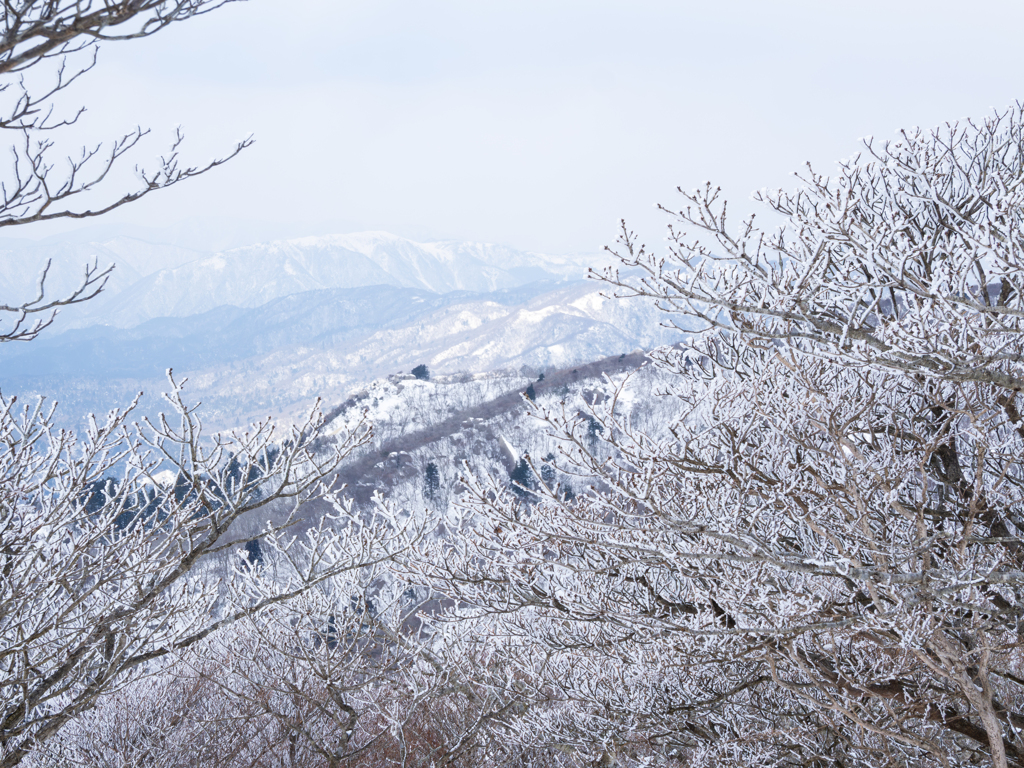雪の峰々を。。