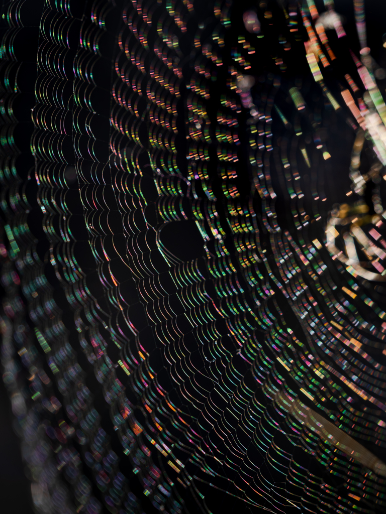 冬の陽きらめき