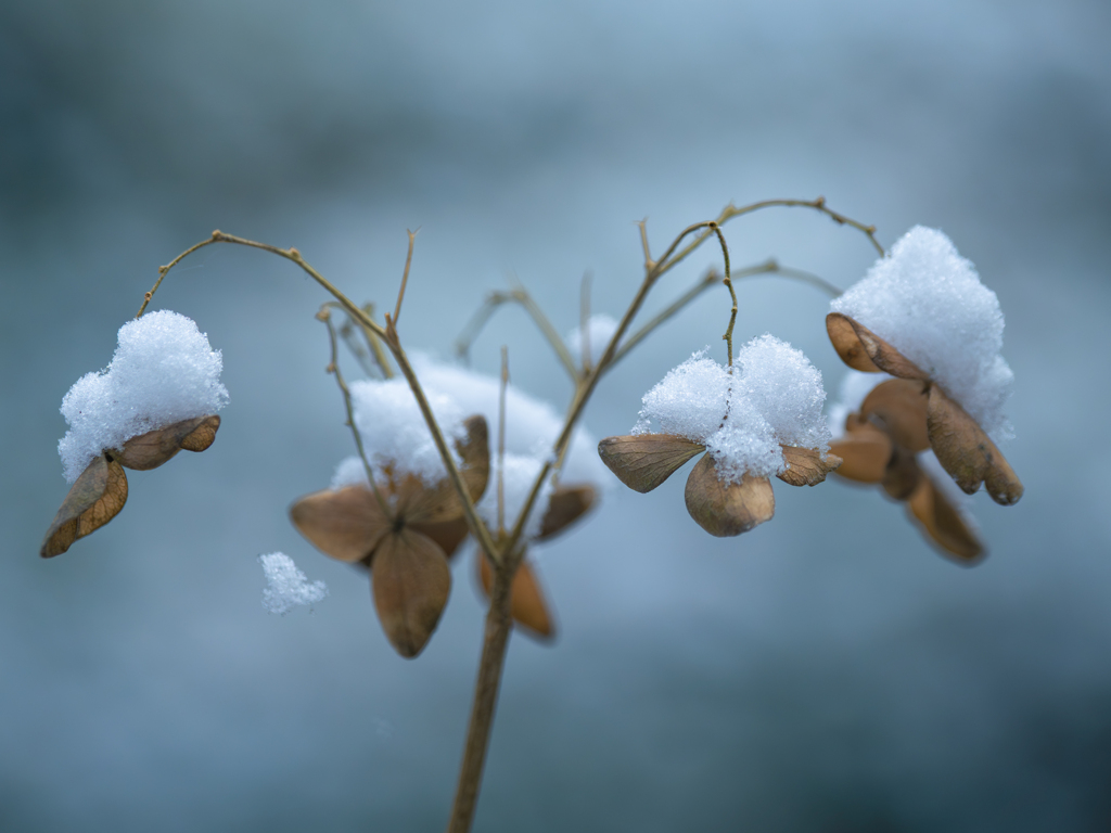 静かに清らかに