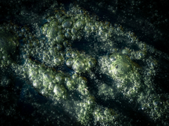 遥か彼方(ﾃﾞﾊﾅｲ)宇宙の片隅で