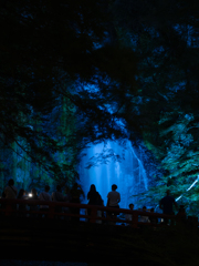 夏夜の涼
