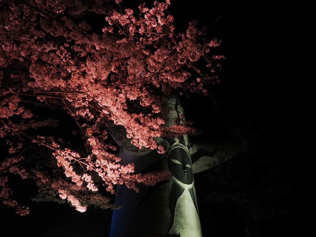 夜の太陽