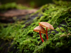 もっとそばへ もっとそばへ