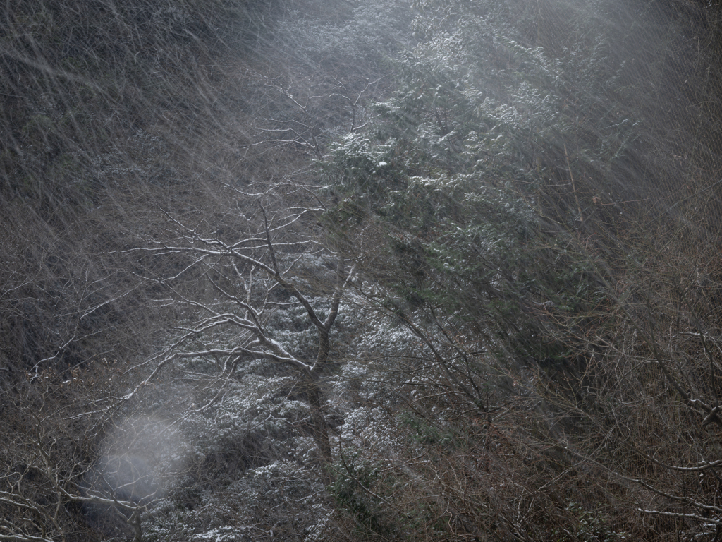 にわかに吹雪く