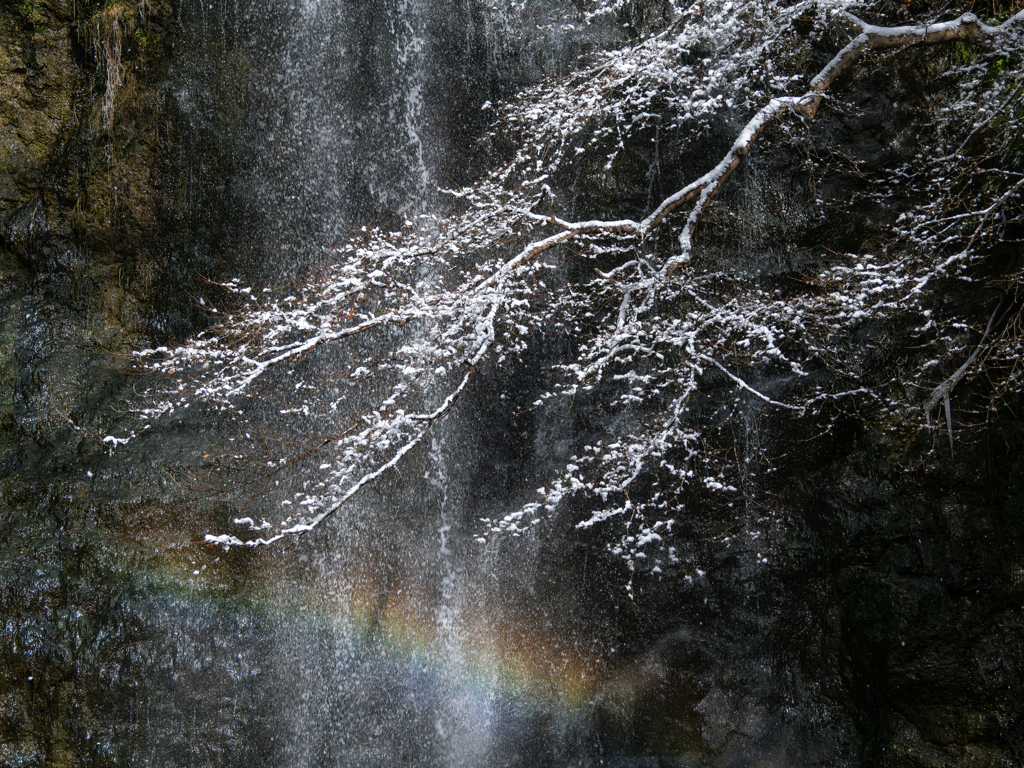 虹と雪の。。