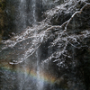虹と雪の。。