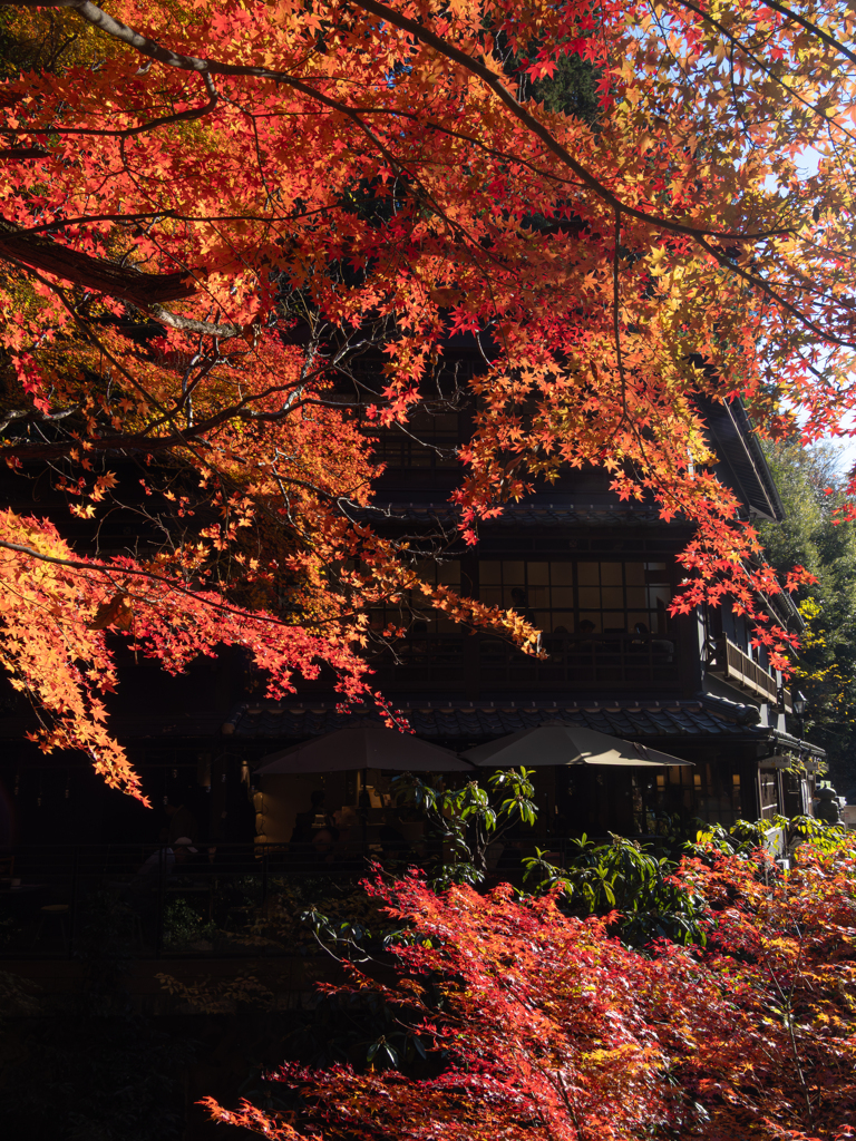 紅葉の館