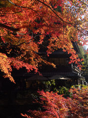 紅葉の館
