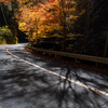 紅葉路の影