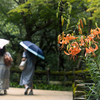 梅雨明け間近の日
