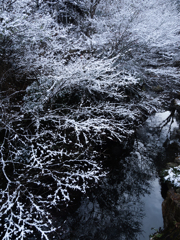 雪華の渓