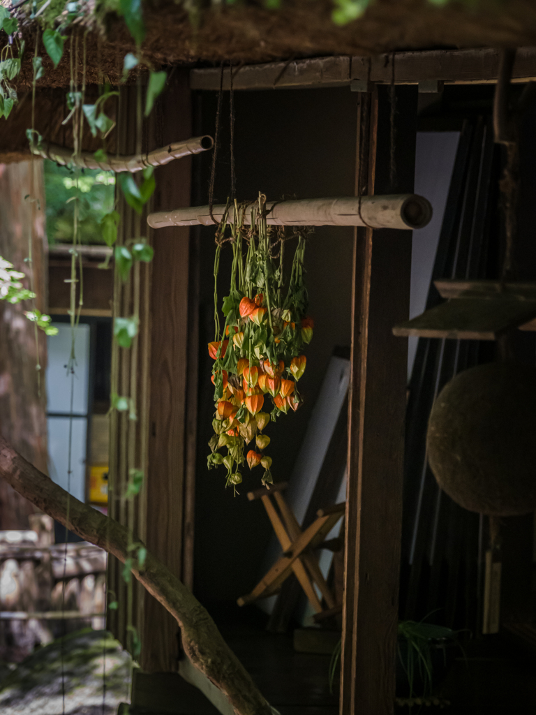 晩夏の郷愁