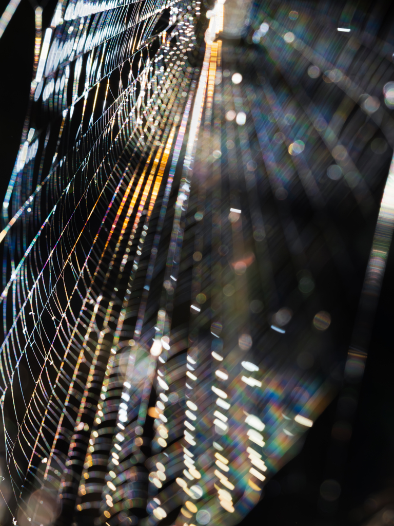 いつまでも光はやさしく、愛おしく。。