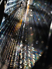 いつまでも光はやさしく、愛おしく。。