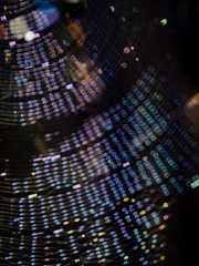 Space City