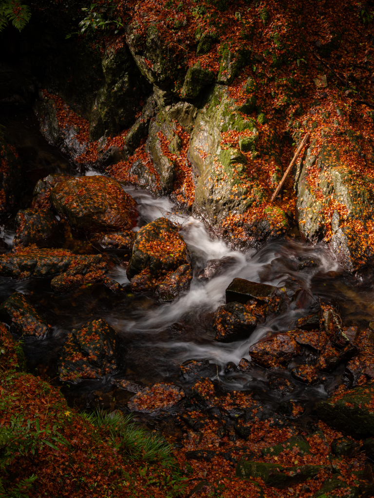 残彩の渓