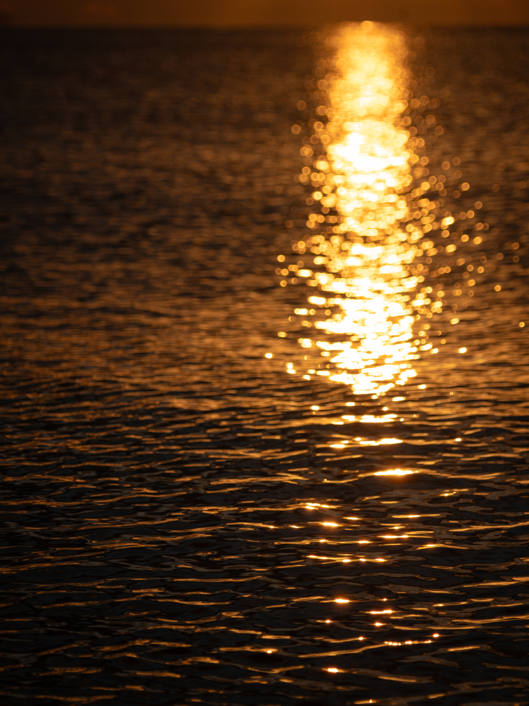 朝の海　光をつれて