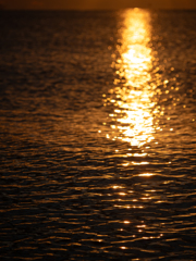 朝の海　光をつれて
