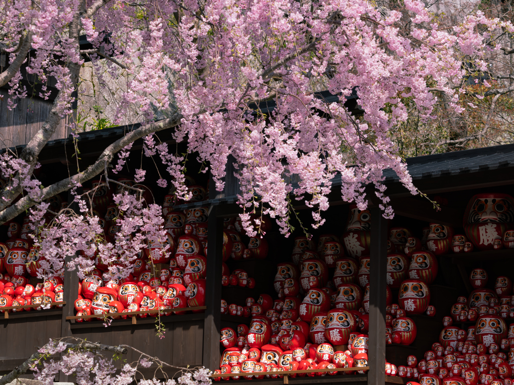 桜の宴