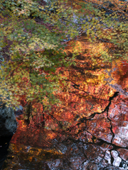 渓谷に秋煌めき