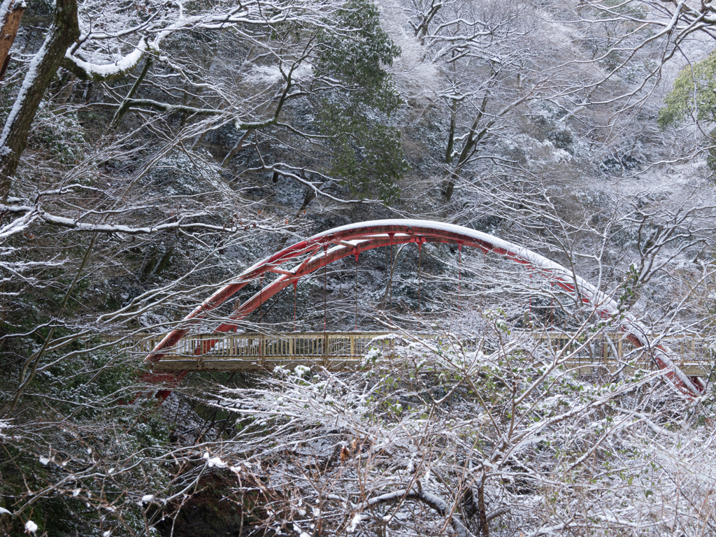 渡れない橋の雪景