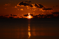 正月二日はだるまさん