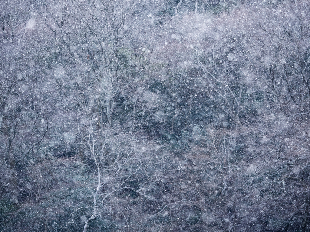 3月の雪