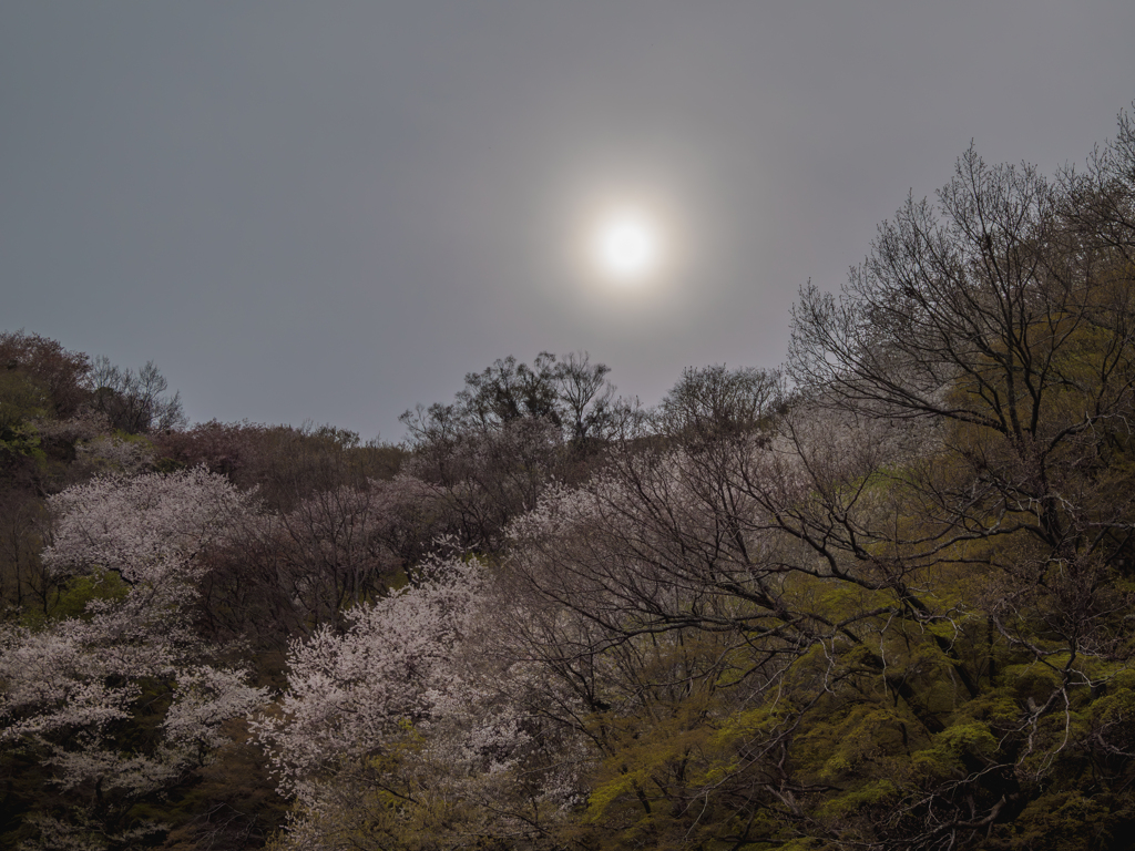 花嵐の前