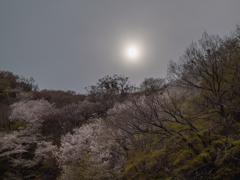 花嵐の前