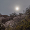 花嵐の前