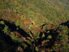 紅葉の山に映る