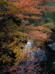 うつろう流れに