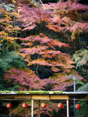 錦繍屏風