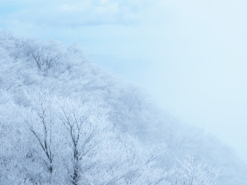 白い山の風