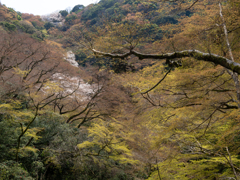 山笑う
