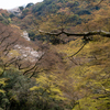 山笑う